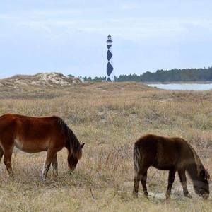 Meet your Posher, Sherry